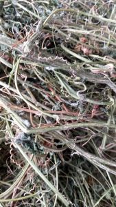 1kg Dây - lá khổ qua rừng khô - Dây - lá khổ qua rừng khô