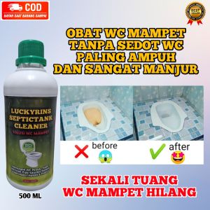 OBAT WC MAMPET TANPA SEDOT DAN BONGKAR WC
