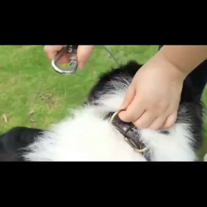 Double-headed Dog Tie Out Cable Leash Raction Rope With Metal Buckle Steel Wire Anti-rust Training CollarOutdoor Dogs Strap
