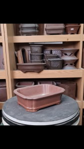 Ang Chữ Nhật Gốm Tàu CPD1001 Bonsai Mini D21.5 R17 C6.5 LL 18x14x5 ang chữ nhật men rỉ sắt chậu bonsai mini để bàn.