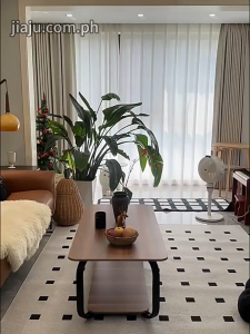 Center Table for sala Living Room Coffee Table 2 Layers Sofa Table Veneer Table Simple Modern Tea Table TATAMI Desk