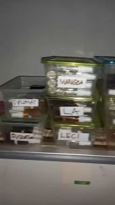 SAOS SPRAY PREMIUM PENGUAT RASA ISI 60 ML