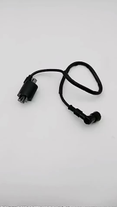 Igniton Coil With Sparkplug Cap For CG125 150cc 200cc 250cc For Motorcycle Quad Dirt Bike