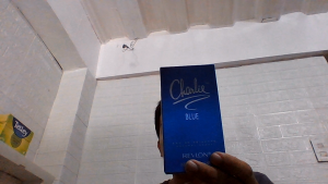 REVLON CHARLIE Perfume NAtural Spray 100ml