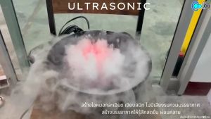 เครื่องทำความชื้นอัลตร้าโซนิล 12 หัว