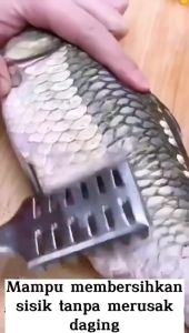 Alat Pembersih Pengupas Sisik Ikan Stainless Steel Alat Pengupas Kerokan Sisik Ika