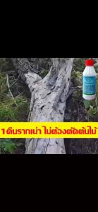 💥ไม่ได้ผลยินดีคืนเงิน💥ยาฆ่าต้นไม้ใหญ เข้มข้นสุด 200ml 1ขวดเท่ากับ20ขวด ยาฆ่าตอต้นไม้ ตรงไปที่ราก รากเน่ารากตาย ยาฆ่าตอไม