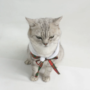 Bandana Kucing Lucu Murah Hewan Peliharaan - Bukipet Meowy Christmas Scraft