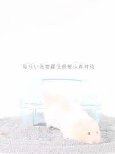 catsan thơm lót chuồng CHO HAMSTER - T3 PETS SHOP