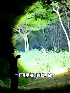 Strong LED Flashlight Adsorbable Waterproof Searchlight USB Recharging Work Lights COB Safety Hammer Data Cable Side Light with Emergency Handheld Lamp Outdoor Sports