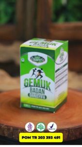 Desain tanpa judul.mp4