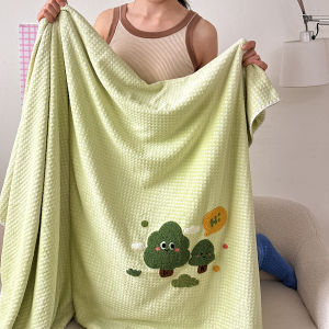 Universal Four Seasons Air Conditioned Blanket Office Nap Blanket Leg Cover Milk Velvet Sofa Small Blanket Shoulder Shawl