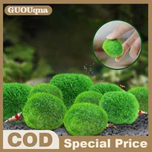 GUOUQNA 3-4cm Marimo Moss Balls Live Aquarium Plant Algae Fish Shrimp Tank Ornament Simulation Green Algae Balls Artificial Plant