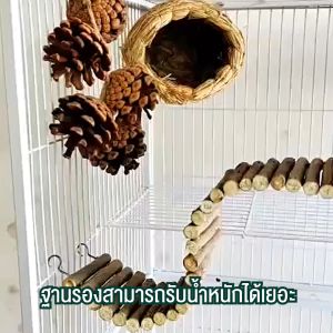 กรงนก กรงกระรอก กรง 3 ชั้น ซี่ห่าง 1.5 ซม. มีประตูเข้าออกง่าย ฐานยกสูง มีที่ให้อาหาร แข็งแรง ทนทาน