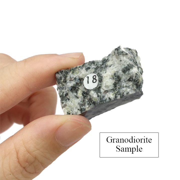 Rock Specimen Rock Collection 24/42/100 Pieces Stone Collection Sample