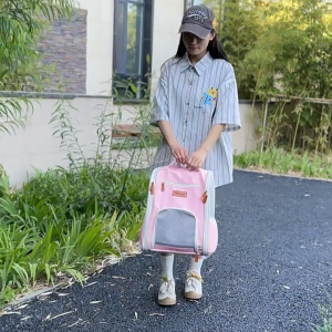 Pet Carrier Backpack Cat Bag Breathable Portable Folding Cat Dog Pet Travel Backpack