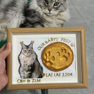 DIY Pet Paw and Footprint Memorial Frame