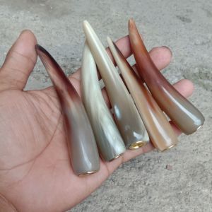 pipa tanduk kerbau bule 10-11cm pipa once tanduk kerbau bule asli