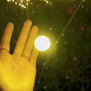 Solar Light Outdoor Waterproof Solar Light Solar Garden Light Outdoor Landscape Lights Solar Firefly Lamps for Country Decoration