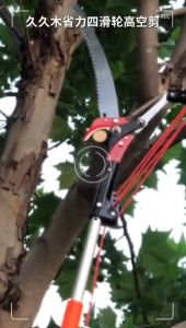 7.5M high pruning saw red scissors Telescopic aerial pruning saw Tree cutter coconut picker Fruit picking machine Ricih pemangkasan altitud tinggi