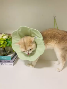 🔥🔥🔥Comfy Soft Cone Elizabethan Collar Recovery Collar for Post Surgery Dogs/ Cats