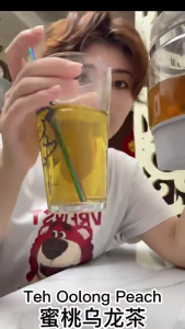 100% Authentic Peach Oolong Tea Bag Fruit Tea 健康三角包茶 Brewing Fruit Drink White Peach Oolong Tea 蜜桃乌龙茶 水果茶 花茶 三角茶袋 养生茶 茶包