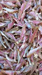 Khô Cá Phèn Hồng 2 nắng vị vừa ăn_Chiên Giòn Ngon Tuyệt Vời