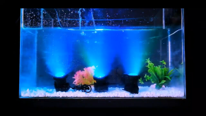 Waterproof 1/2/3 LED Pool Light Solar Power Light Submersible Lamps Projector Light Garden Solar LED Light Underwater Pond Light