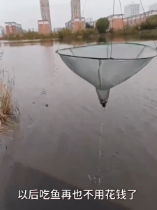 Jaring Ikan Segi Tiga Lipat Buka Mudah - Tahan Lama untuk Memancing Udang Ketam dan Spesies Lainnya