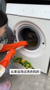 【Malaysia Ready Stock】Washing Machine Deep Stain Removal Oxygen Powder Washing Machine Cleaner 清洁剂 爆氧粉