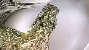 (Leave In Do Not Rinse) Hair Ampoule Treatment 2ml x 30pcs Argan Oil Essence Anti-Frizzy & Repair ALFAPARF JS