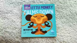 0-3 Years Old Kids Living Habits Learning EN & CN Bilingual Picture Books Paperback