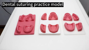 Silicone Dental Oral/Gum Suture Model 4 Wound Types Simulation Oral Skin Suture Pad Teaching Model