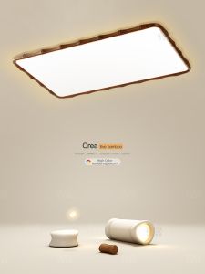 Retro Style Minimalist LED Ceiling Light