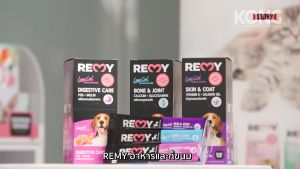 REMY Salmon Mousse For Dog 🐶 FREE SHIP 🐶 Thức ăn hỗ trợ lông và xương khớp