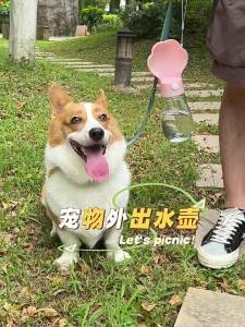 Portable outdoor water bottle for dogs large capacity small size hanging type pet carrying outdoor dog walking dog kettle