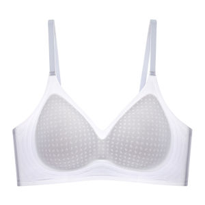 JIAZINI | Ice Silk Seamless Womens Underwear Thin Large Chest Small Chest Gathered Anti-Sagging Summer New Arrival Fashionable Nylon