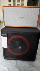 Loa Sub Điện  4 Tấc 715