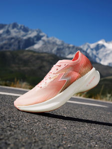 361 Degrees Flame 2.0 Professional Marathon Running Shoes 672312214