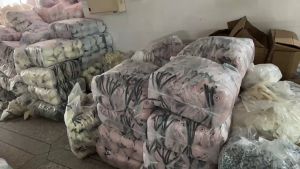 THE ONE ไม่มีรอยต่อ บรา ผู้หญิง ไม่มีวงแหวนเหล็ก ปรับได้ เสื้อกั๊ก ความสะดวกสบาย นุ่ม การสนับสนุน ถ้วยบาง ชุดชั้นใน 34-42BCD