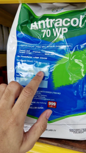 Racun 1KG untuk Kulat Antracol 70WP Fungicide Bayer Vegetable fruit Healthy Soil Tanaman