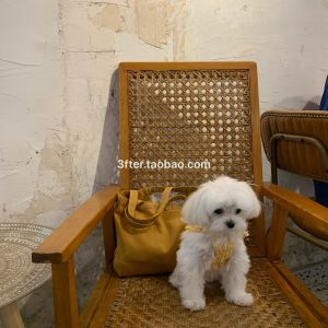 Cute Mini Canvas Handbag Pure Color Casual Spring Girls Bag Lovely Tote Bag Attractive Pink Compact Size Pure Color Leisure