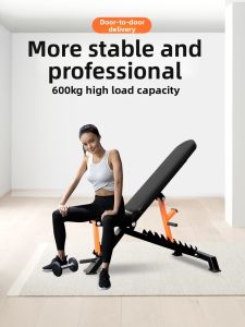 XINGYUE | Adjustable Commercial Fitness Chair