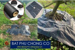 Bạt Chống Cỏ Khổ 1.5m Loại Dày Tốt Xuất Khẩu Bán Theo Mét Tới. Tặng Kèm Ghim