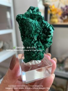 🌿 羽绒孔雀石 · 生命力之石 送底座 Feather Malachite · Stone of Vital Energy free base