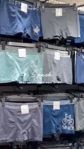 SPACH M016 | 6 pcs Boxer Seamless Motif Garis Warna Random / Karet Melar