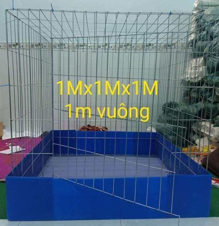 1m Vuông - Tất Tần Tật Về Diện Tích và Ứng Dụng Trong Đời Sống