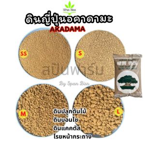 โปรพิเศษ อคาดามะ ดินญี่ปุ่น ขนาด SS/S/M/L ดินปลูกแคคตัส กระบองเพชร ไม้อวบน้ำ บอนไซ