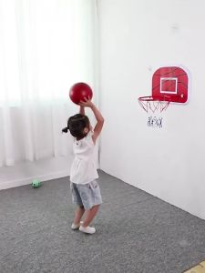 Hodeso Dunk Pro 18 inch x 12 inch Backboard Pro-Style Hoop with Break-Away Rim Mini Basketball Ring Hoop With Ball