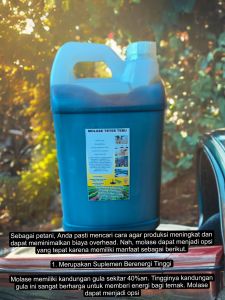 molase tetes tebu ukurn 6 kg